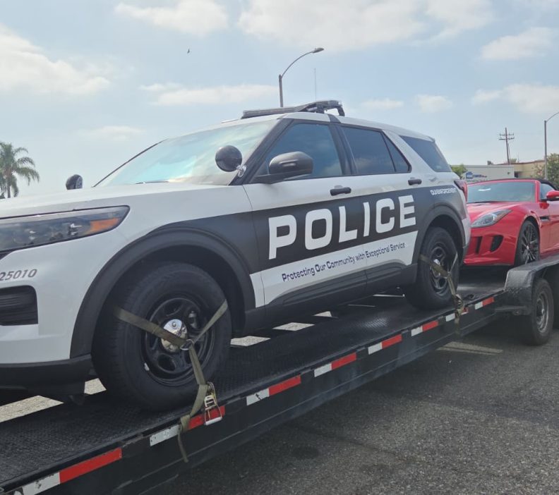 WhatsApp Image 2025-07-29 at 00.48.01_1c0bba75